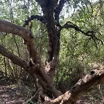 Δωμάτια σε οικογενειακή κατοικία La Casa Dei Girasoli