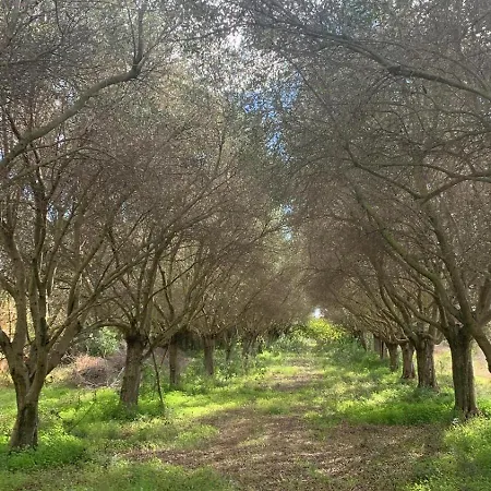 La Casa Dei Girasoli Maracalagonis