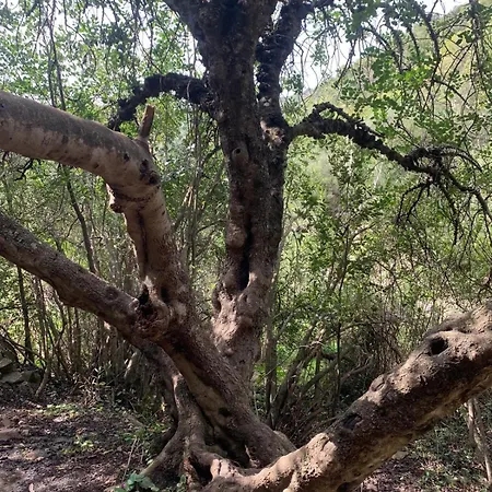 Privatunterkunft La Casa Dei Girasoli