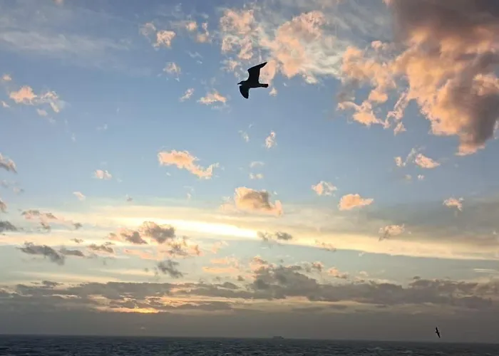 La Casa Dei Girasoli Habitación en casa particular *